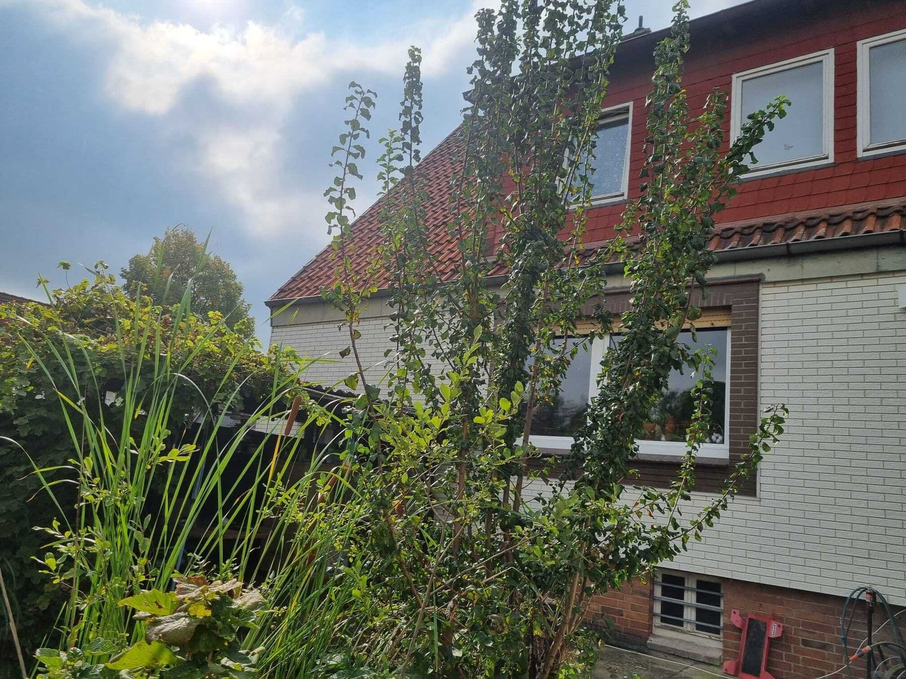 !RESERVIERT! Ein- bis Zweifamilienhaus im Grünen mit viel Potenzial, Bild 3
