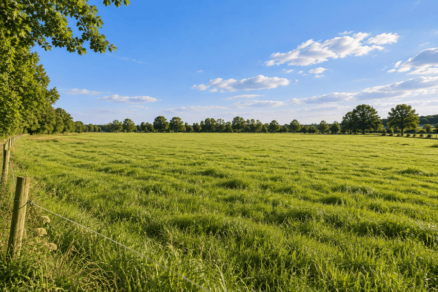 Sanierungsbedürftiger Resthof mit großer Scheune- ideal für Pferdehaltung, Steyerberg